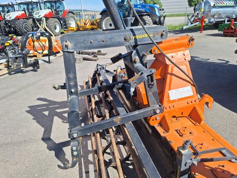 Pegoraro RC 300