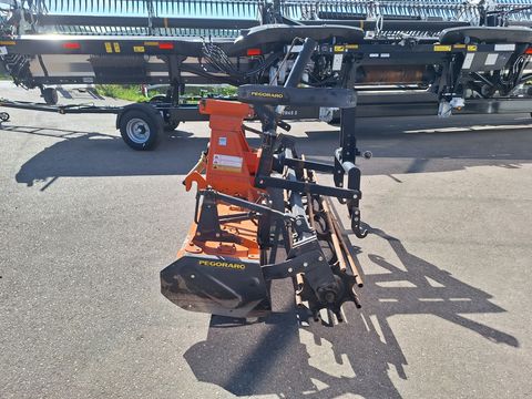 Pegoraro RC 300