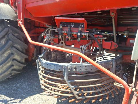 Holmer Terra Dos T2 Special