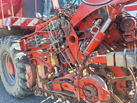 Holmer Terra Dos T2 Special
