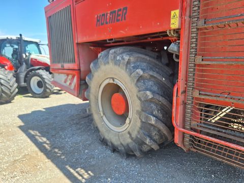 Holmer Terra Dos T2 Special