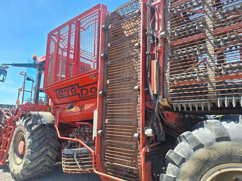 Holmer Terra Dos T2 Special
