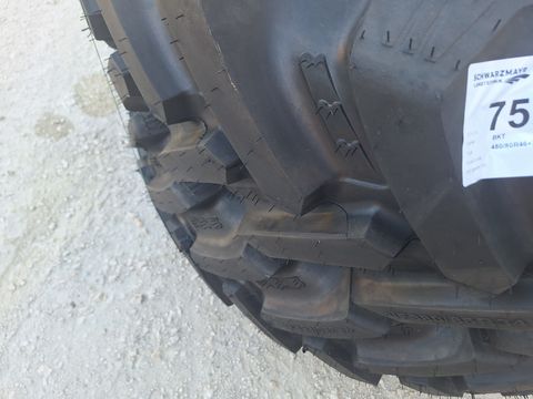 BKT 480/80R46+380/85R34 Pflegeräder
