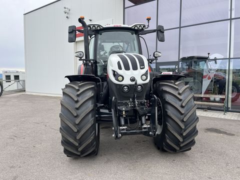 Steyr 6240 Absolut CVT