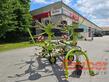 CLAAS Volto 1050