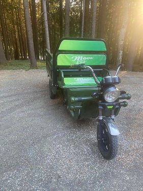 Sonstige Öko Mobil Cargo 500 Elektro-Lastendreirad
