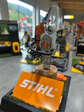 Stihl MS 300 C- M 