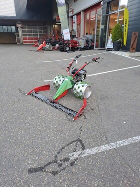 Rapid Rex