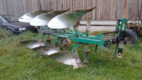 Regent 3 Schar mit Steinsicherung