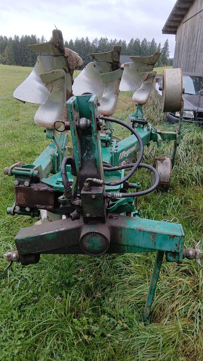 Regent 3 Schar mit Steinsicherung 3
