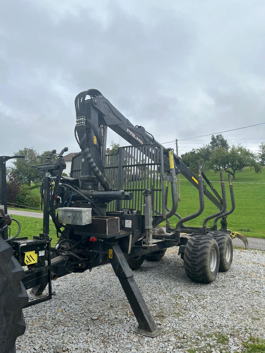 Palms H 10U + K 7.72 1