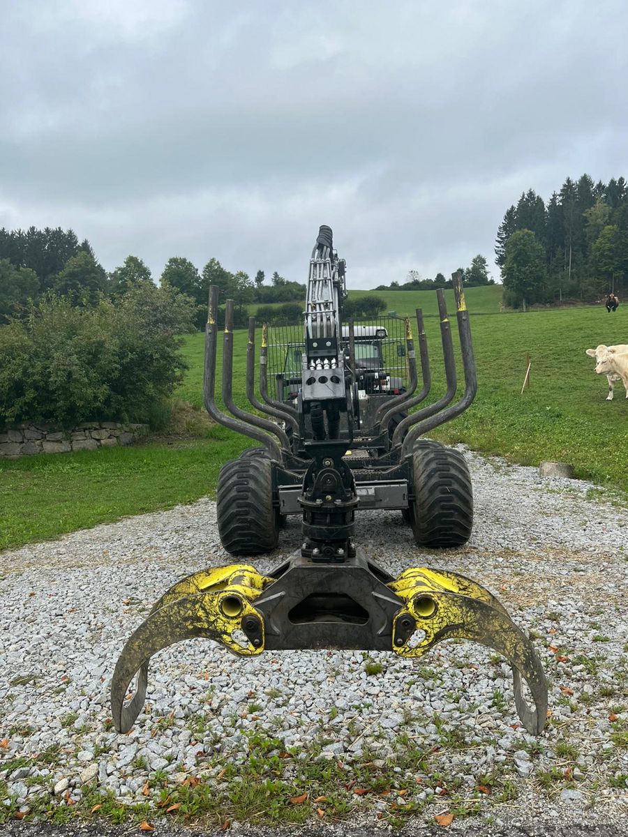 Palms H 10U + K 7.72 3