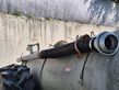 3916-0a16132de3ace3474e01b9f6934feed7-5781067