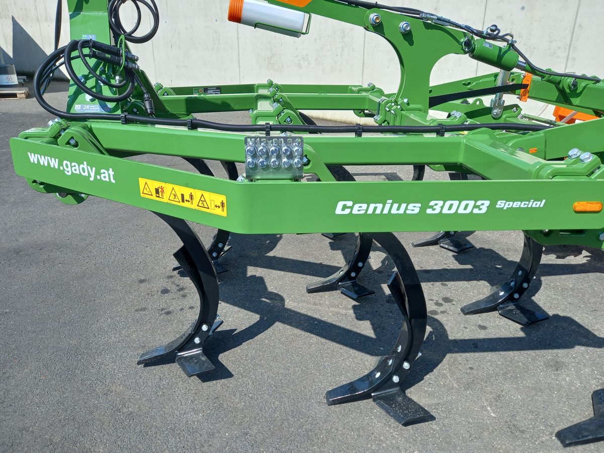 Amazone CENIUS 3003 MULCHGRUBBER