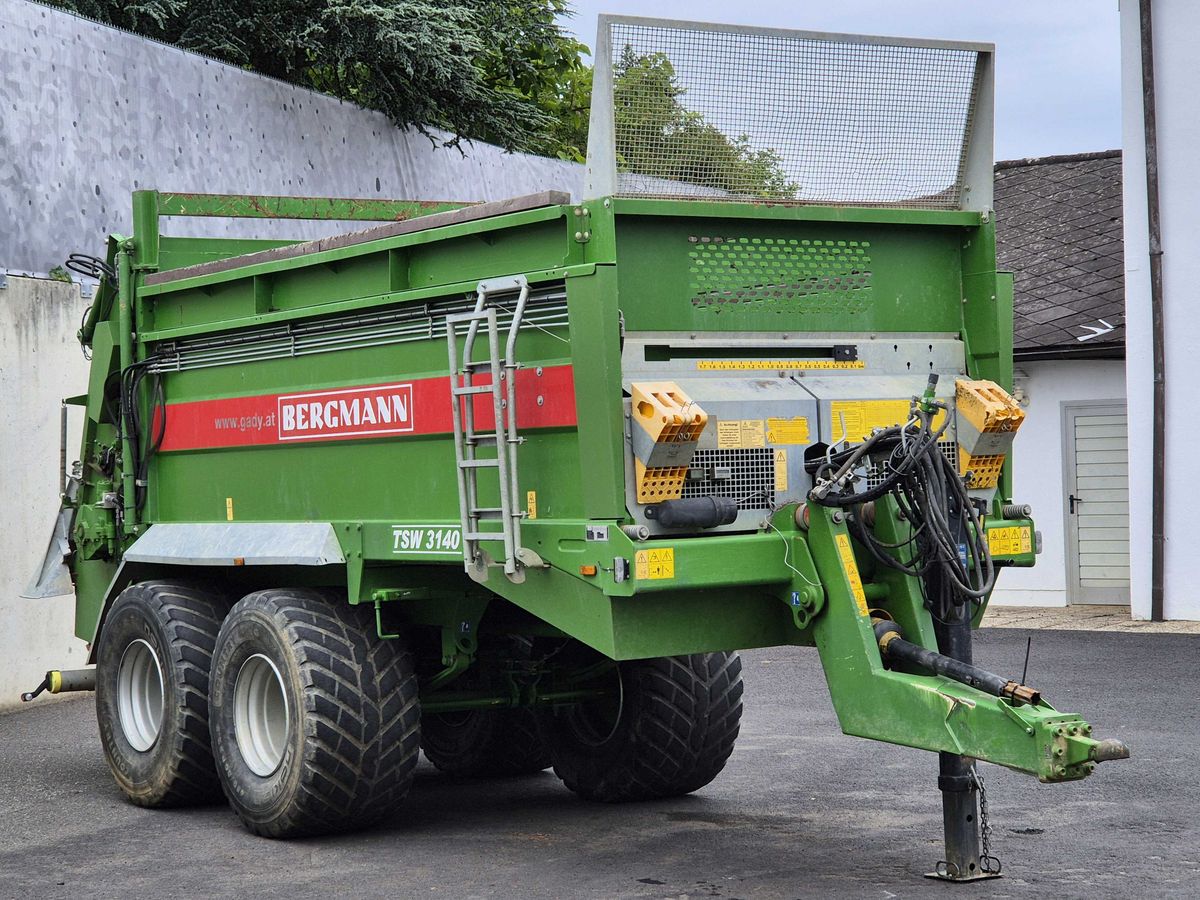 Bergmann TSW 3140T