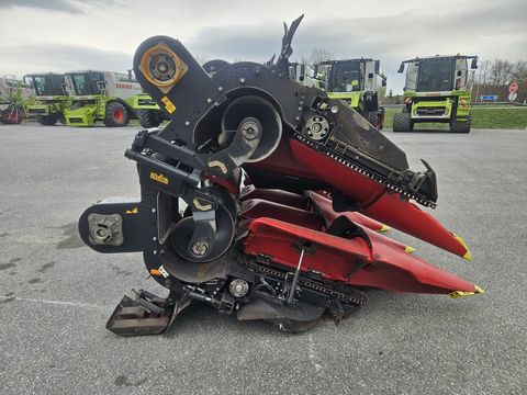 Geringhoff Mais Star Horizon MSH 870FB