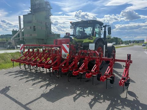 Steketee EC Weeder 12x45cm oder 12x50cm