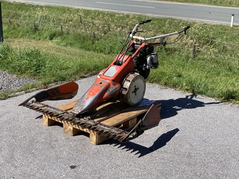 Reform Motormäher 116