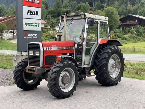 Massey Ferguson 365-4