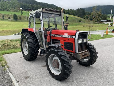 Massey Ferguson 365-4