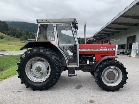 Massey Ferguson 365-4