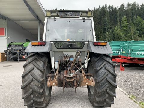 Massey Ferguson 365-4