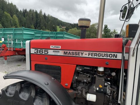 Massey Ferguson 365-4