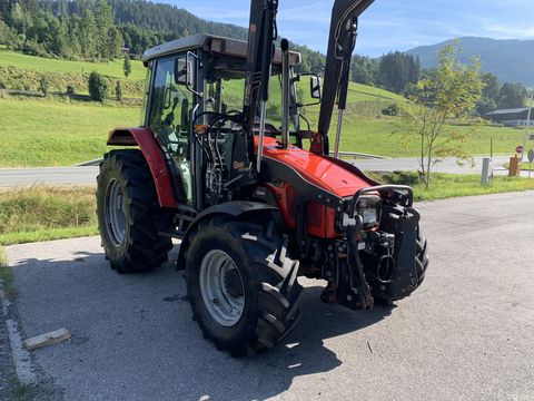 Massey Ferguson 4225-4 + Hauer FL