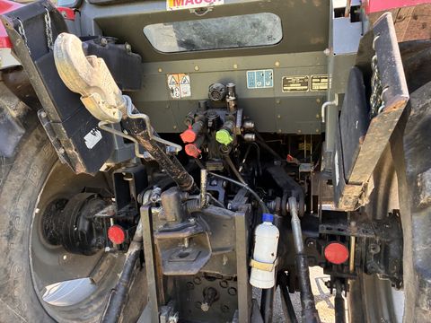 Massey Ferguson MF 4245 + Stoll Frontlader