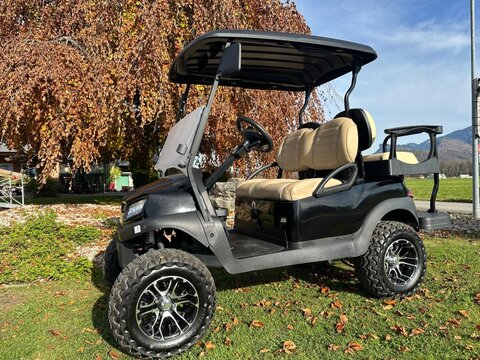 Sonstige Tempo Lithium Akku Buggy Licht Exklusiv