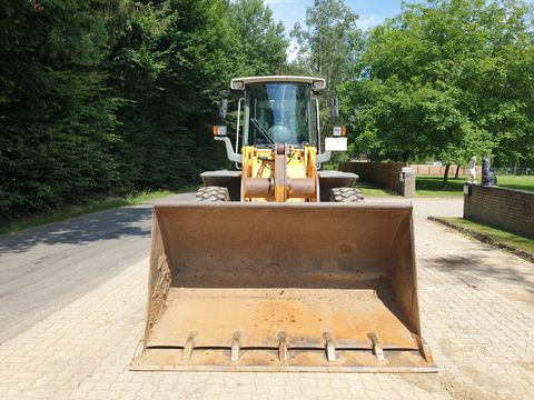 Liebherr L 524