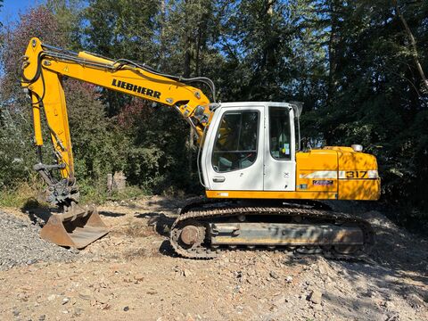 Liebherr R 317