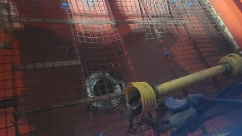 Rauch MDS 921/ Multi-Disc-System 3