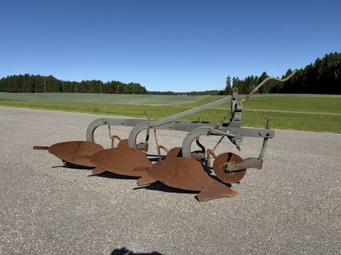 Massey Ferguson MF-3 Schar Pflug