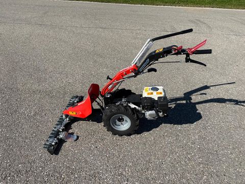 Motormäher Reform Motech CM816