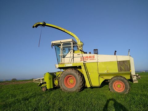 Claas Jaguar 695 SL