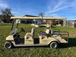Sonstige Golfcar 6 Sitz