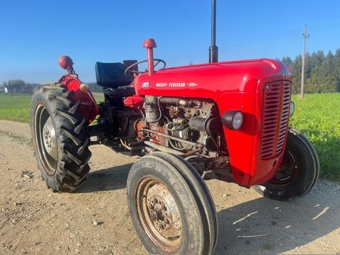 Massey Ferguson FE 35 X