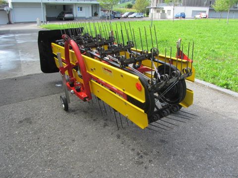 Andere, B 250/4 LS, 2002