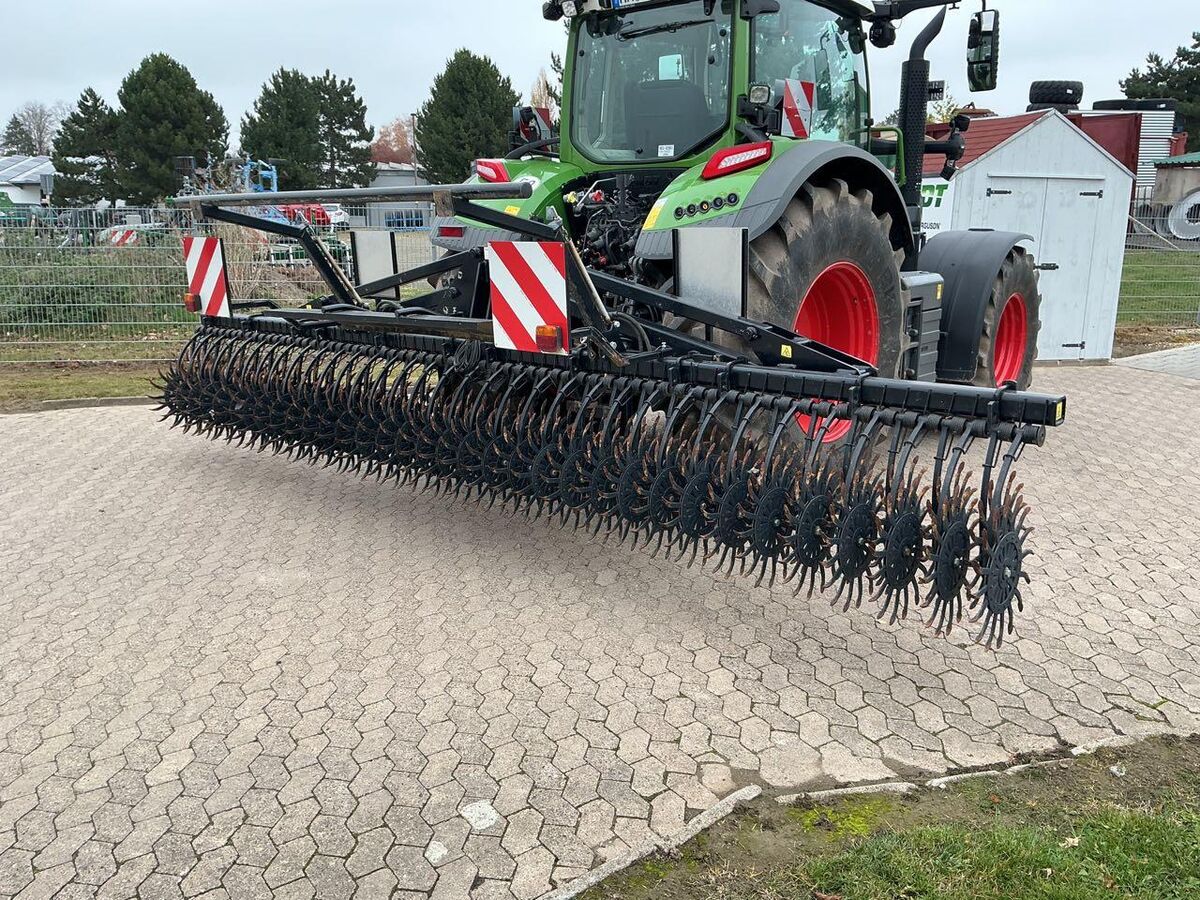 Agriser Sternhacke 2