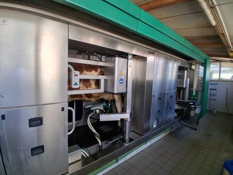 Sonstige MIone RC 2Box