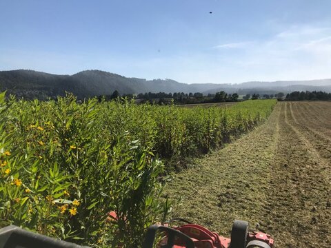 Tehnos MB 220 R LW Profi 3