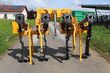 4176-638fae1dcbf83d890de00e231d2fce6f-5697902