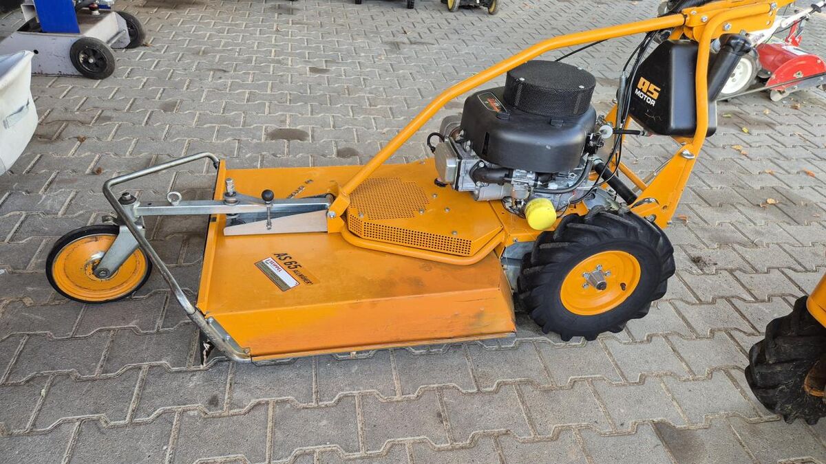 AS-Motor AS 65 4T B&S ALLMÄHER 1