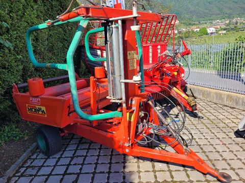 Morra MF 11 - GZ2786