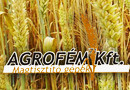 Agrofém 71' Kft.