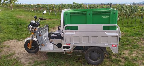 Sonstige TT-Elektro-Cargo Trike