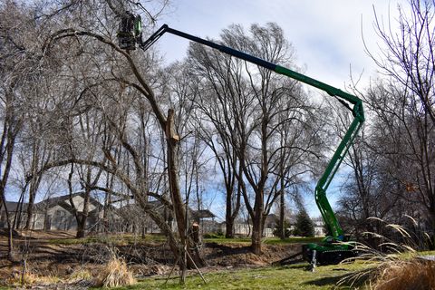 Leguan Lifts Leguan Lifts 225 Hubarbeitsbühne