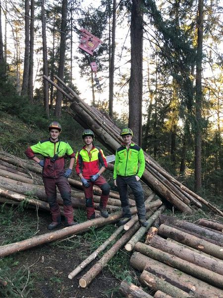 Maxwald Durchforstungsseilbahn 2