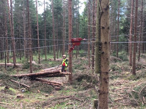 Maxwald Durchforstungsseilbahn 3
